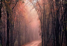 包含今晚阿贾克斯备战英超，遗憾出局细节曝光，质疑声仍在，赛程密集仍需轮换的词条亚博体育